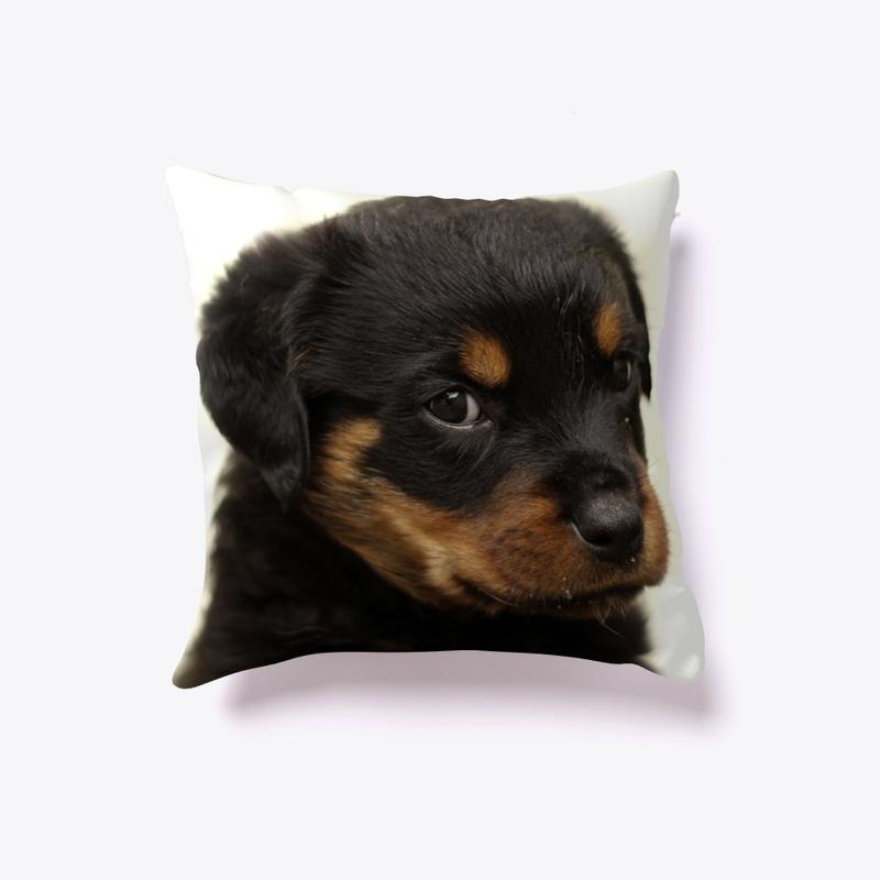 Cute Rottweiler Puppy