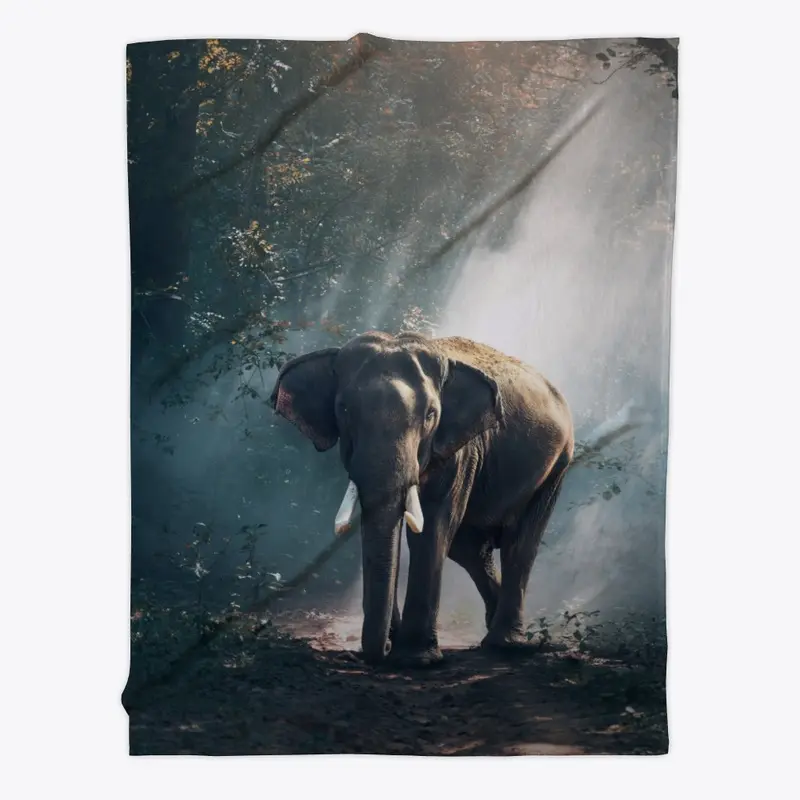 An elephant in the woods