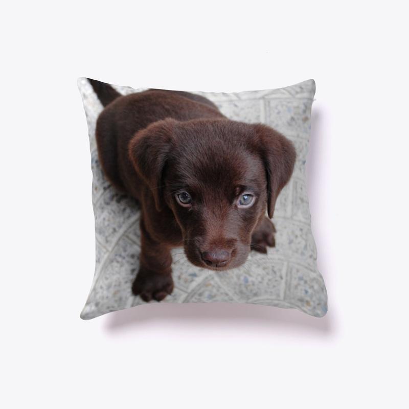 Chocolate Lab puppy pillow